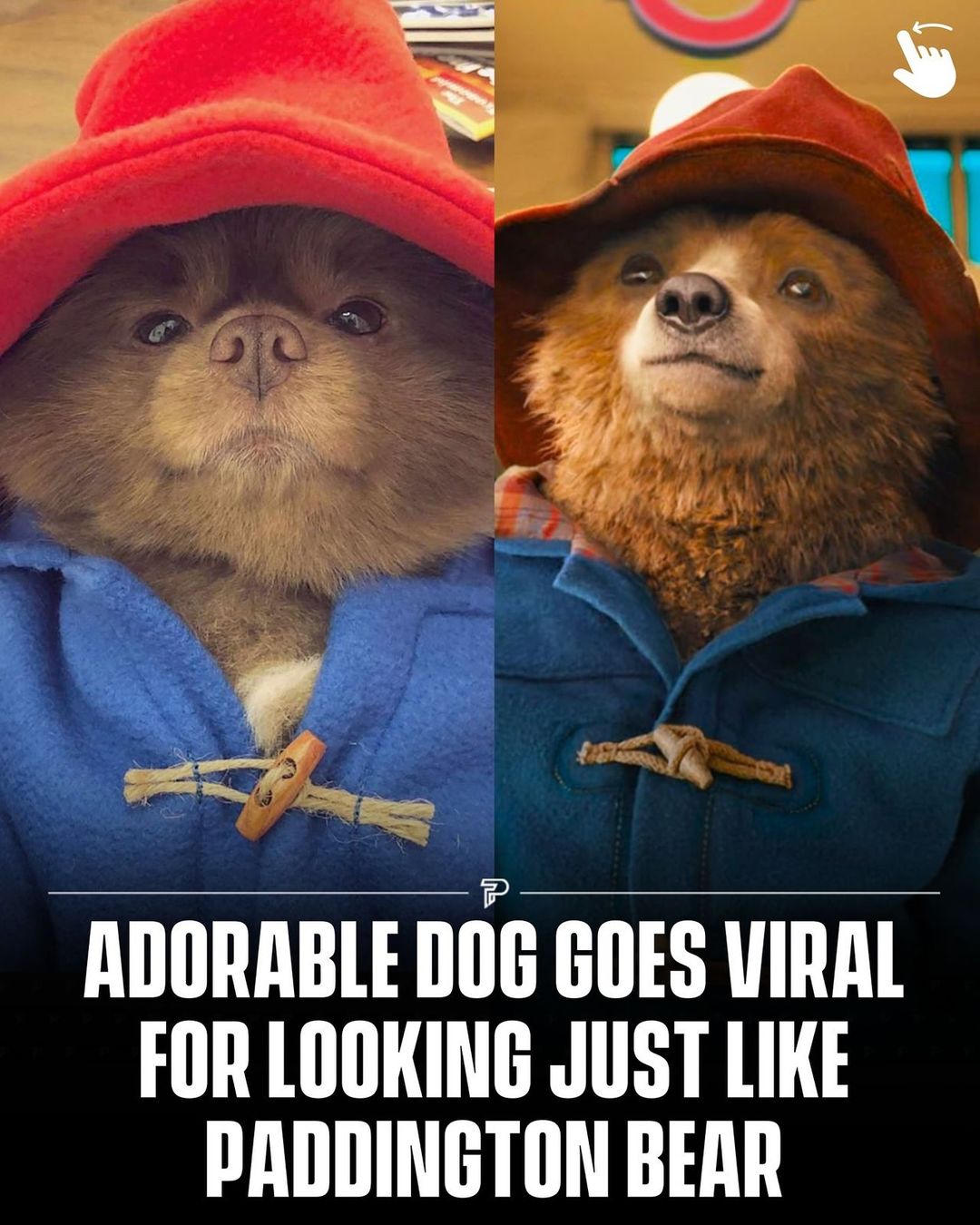 Instagram post shared by @pubity